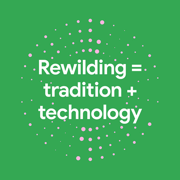 Rewilding = tradition + technology